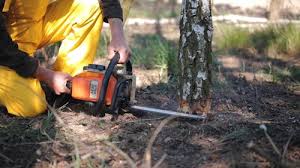 Reliable Brookston, IN Tree Services Solutions